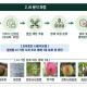 안동시, AI 기반 예측 영농 체계 본격 구축-데이터 …